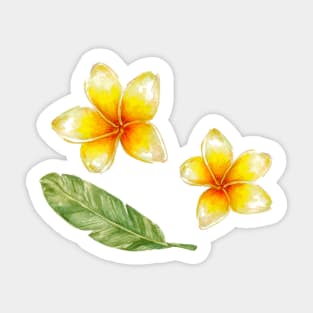 Plumeria flowers and banana leaf Sticker